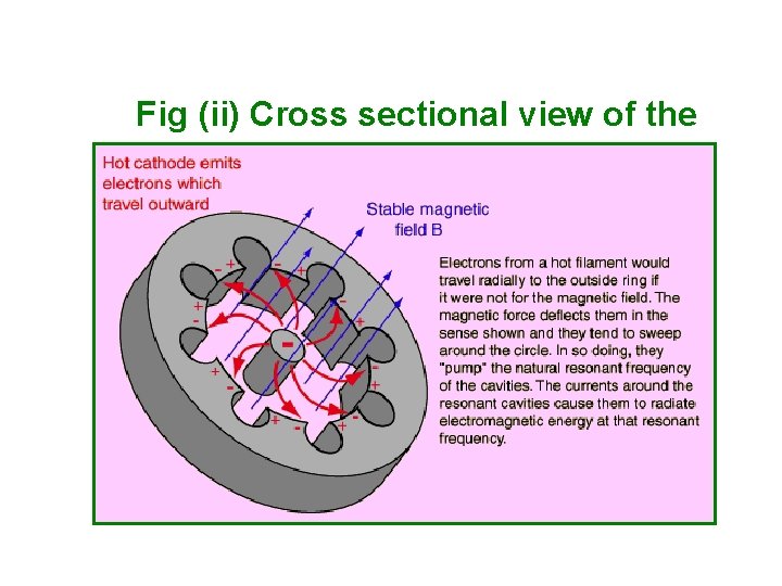 Fig (ii) Cross sectional view of the anode assembly Fig (ii) Cross sectional view of the anode assembly