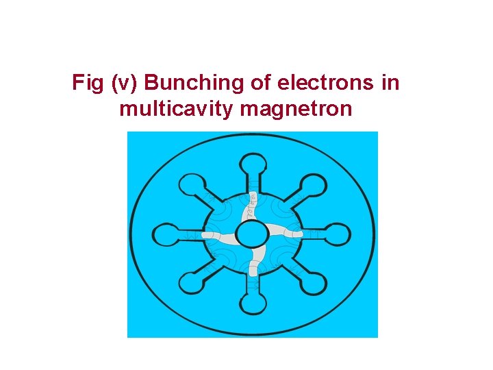 Fig (v) Bunching of electrons in multicavity magnetron Fig (v) Bunching of electrons in multicavity magnetron