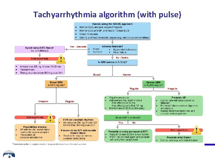 Tachyarrhythmia algorithm (with pulse) 