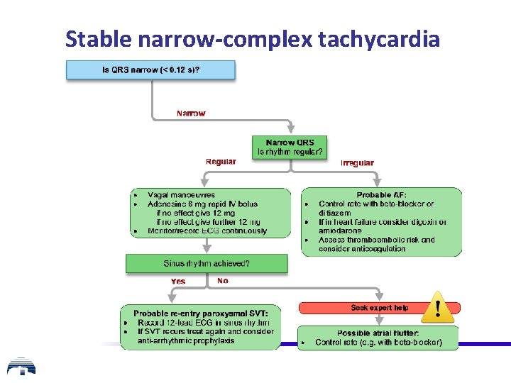 Stable narrow-complex tachycardia 
