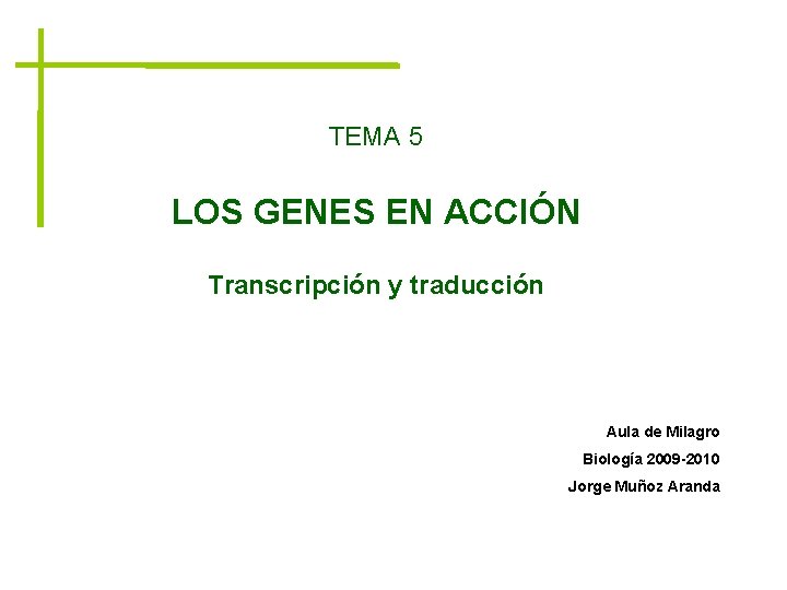 TEMA 5 LOS GENES EN ACCIÓN Transcripción y traducción Aula de Milagro Biología 2009