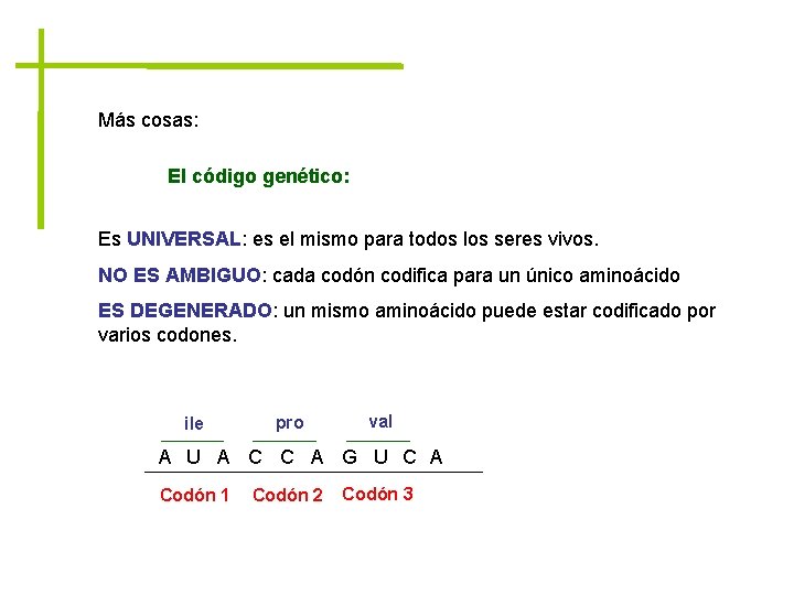 Más cosas: El código genético: Es UNIVERSAL: es el mismo para todos los seres