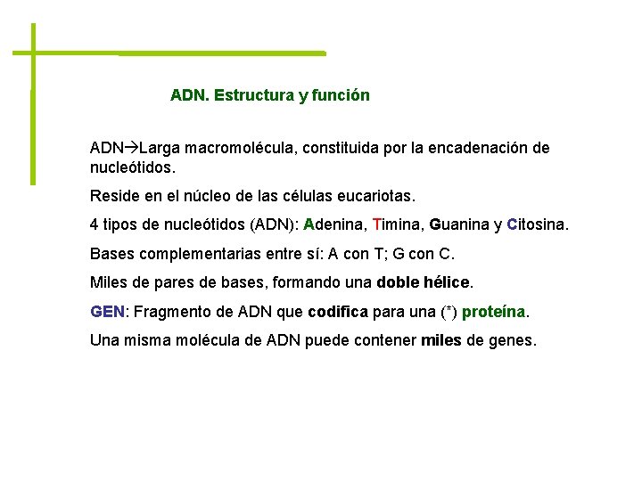 ADN. Estructura y función ADN Larga macromolécula, constituida por la encadenación de nucleótidos. Reside