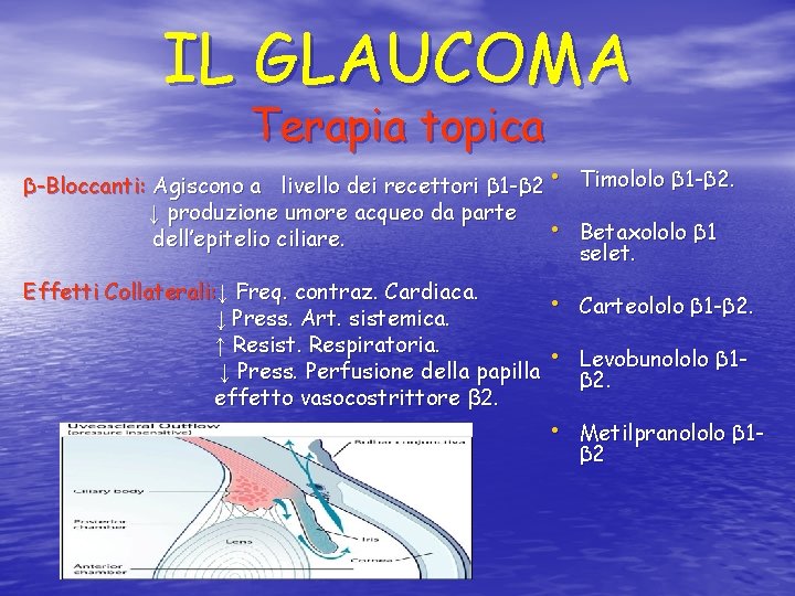 IL GLAUCOMA Terapia topica β-Bloccanti: Agiscono a livello dei recettori β 1 -β 2