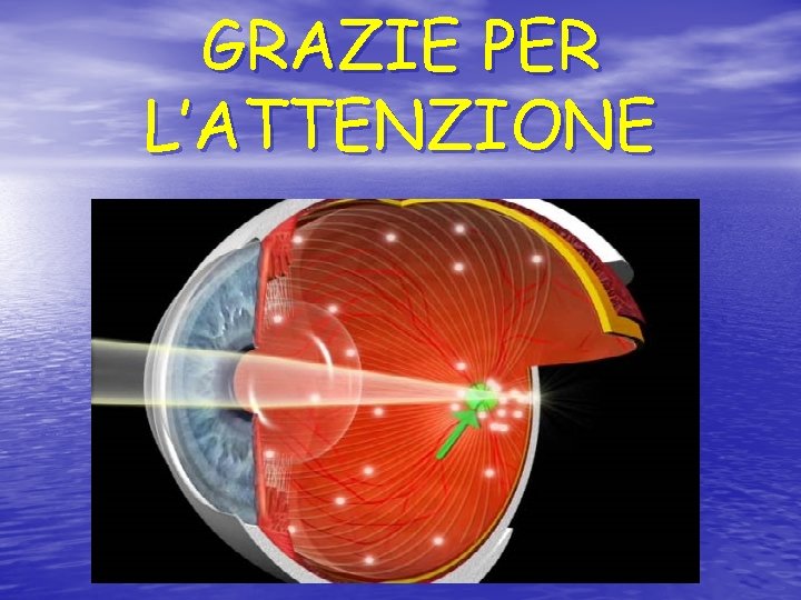 GRAZIE PER L’ATTENZIONE 