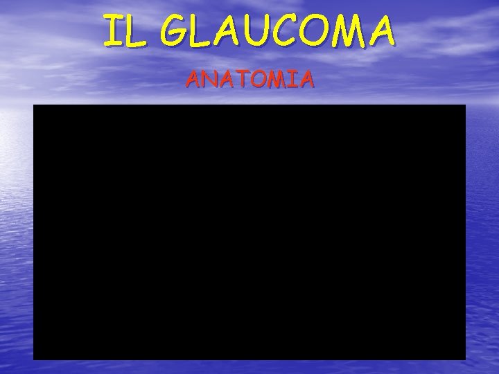 IL GLAUCOMA ANATOMIA 