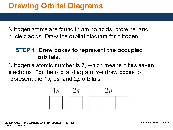 Drawing Orbital Diagrams Nitrogen atoms are found in amino acids, proteins, and nucleic acids.