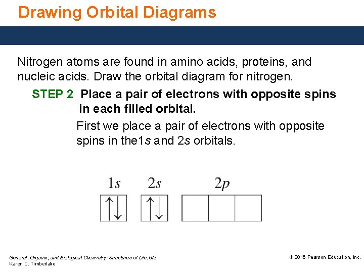 Drawing Orbital Diagrams Nitrogen atoms are found in amino acids, proteins, and nucleic acids.