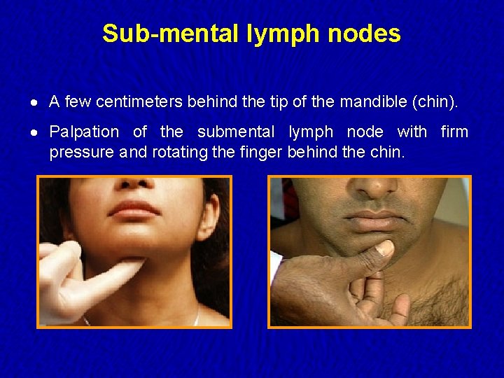 Sub-mental lymph nodes · A few centimeters behind the tip of the mandible (chin).