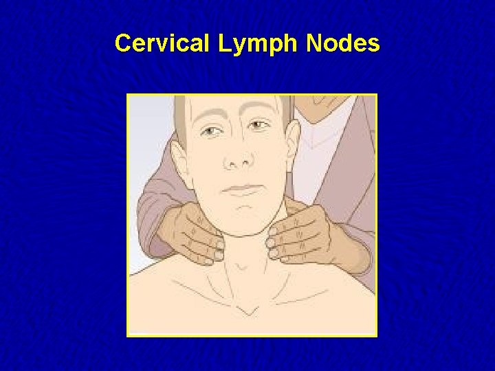 Cervical Lymph Nodes 