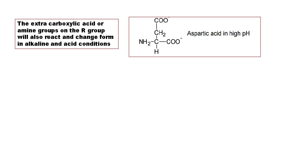 The extra carboxylic acid or amine groups on the R group will also react