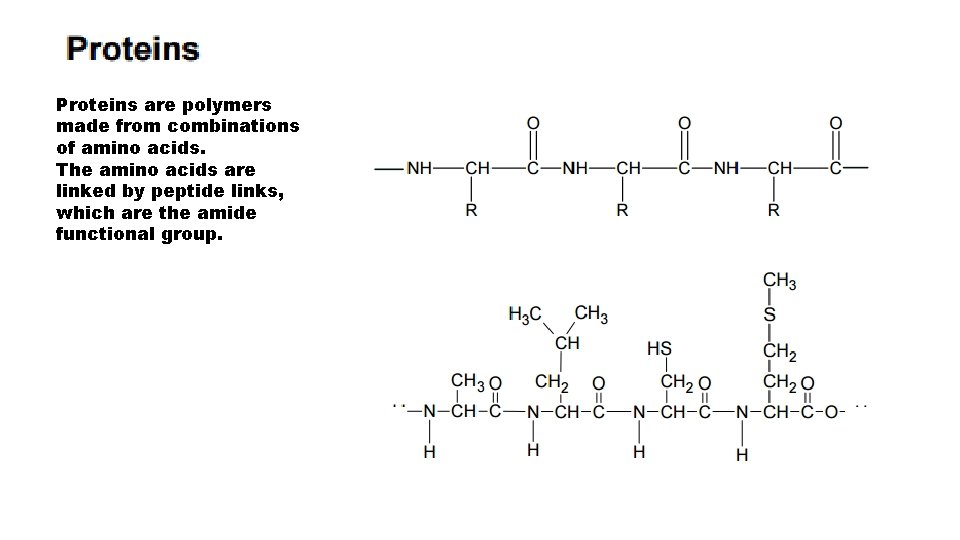Proteins are polymers made from combinations of amino acids. The amino acids are linked