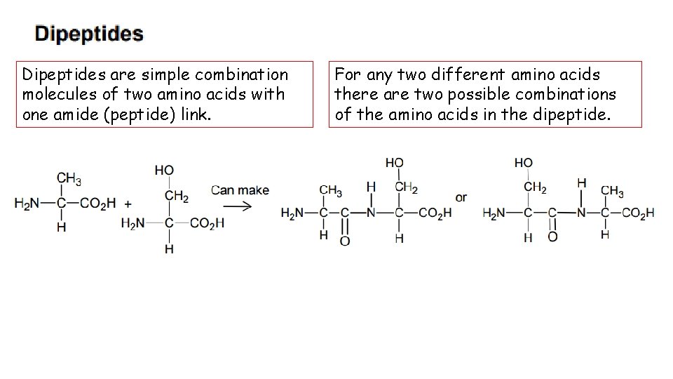 Dipeptides are simple combination molecules of two amino acids with one amide (peptide) link.