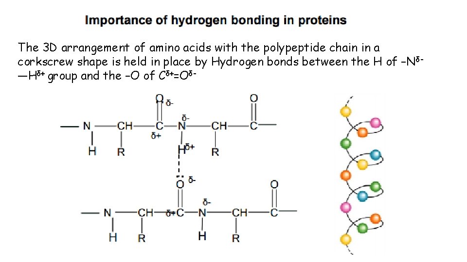 The 3 D arrangement of amino acids with the polypeptide chain in a corkscrew