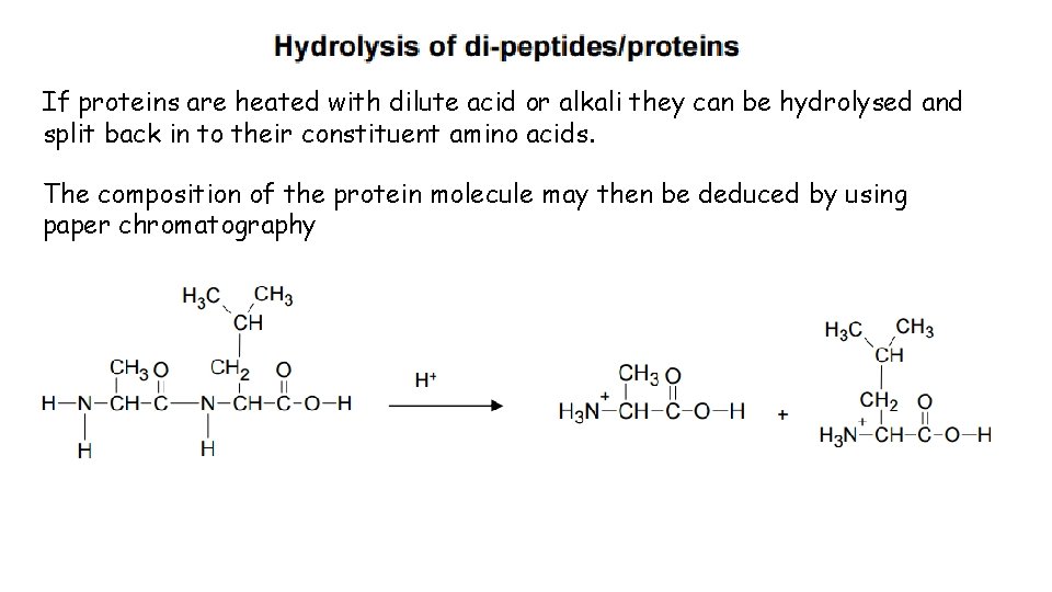 If proteins are heated with dilute acid or alkali they can be hydrolysed and