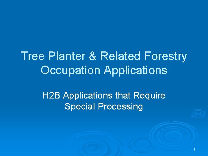 Tree Planter & Related Forestry Occupation Applications H 2 B Applications that Require Special