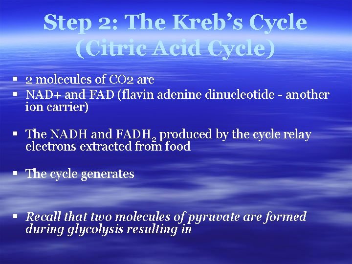 Step 2: The Kreb’s Cycle (Citric Acid Cycle) § 2 molecules of CO 2