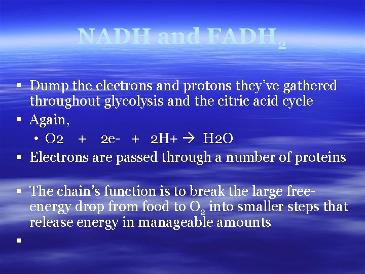 NADH and FADH 2 § Dump the electrons and protons they’ve gathered throughout glycolysis