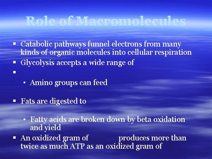 Role of Macromolecules § Catabolic pathways funnel electrons from many kinds of organic molecules