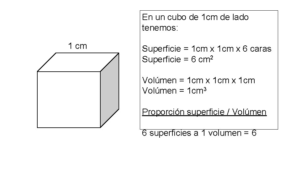 En un cubo de 1 cm de lado tenemos: 1 cm Superficie = 1