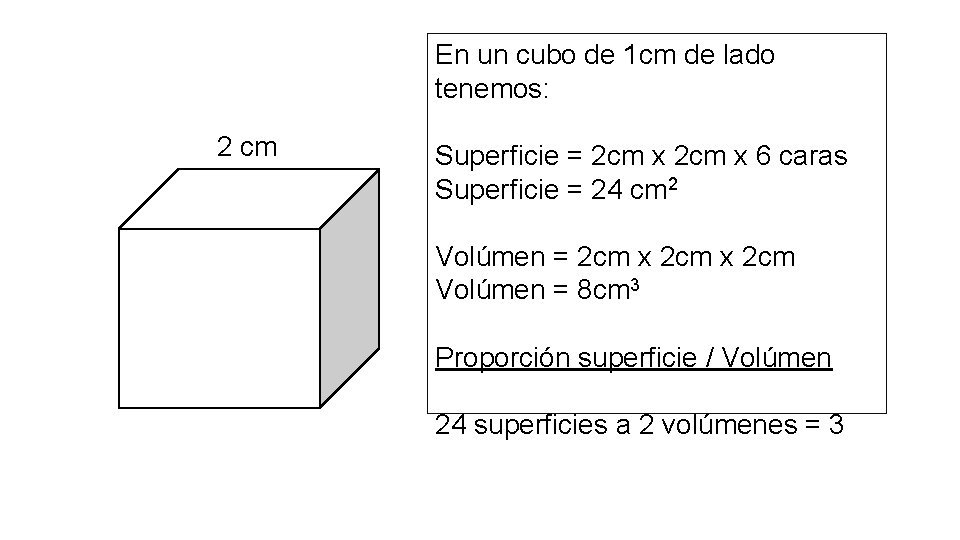 En un cubo de 1 cm de lado tenemos: 2 cm Superficie = 2