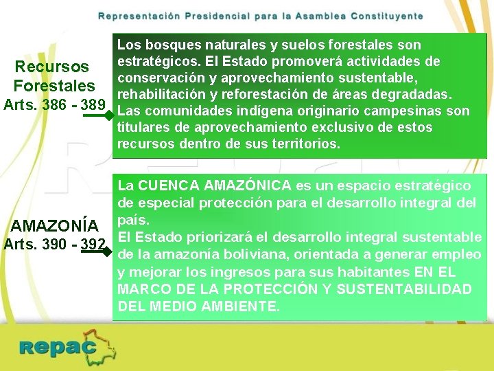 Los bosques naturales y suelos forestales son estratégicos. El Estado promoverá actividades de Recursos