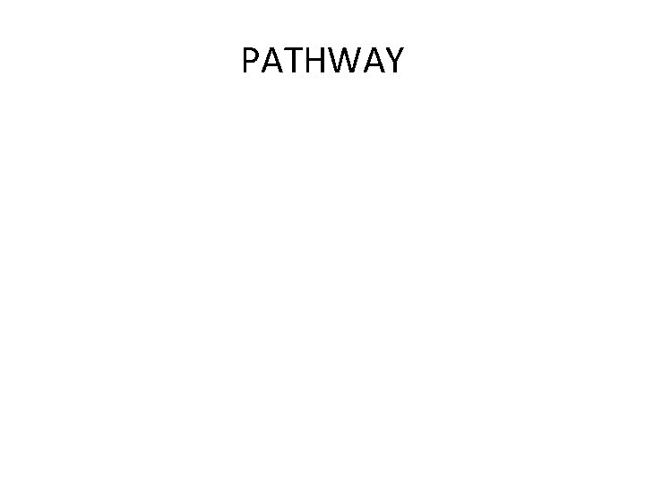 PATHWAY 