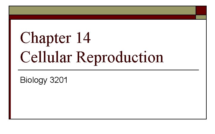 Chapter 14 Cellular Reproduction Biology 3201 