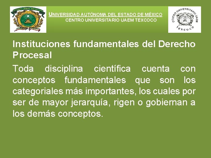 UNIVERSIDAD AUTÓNOMA DEL ESTADO DE MÉXICO CENTRO UNIVERSITARIO UAEM TEXCOCO Instituciones fundamentales del Derecho