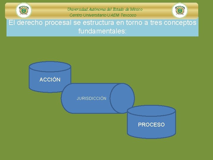 Universidad Autónoma del Estado de México Centro Universitario UAEM Texcoco El derecho procesal se