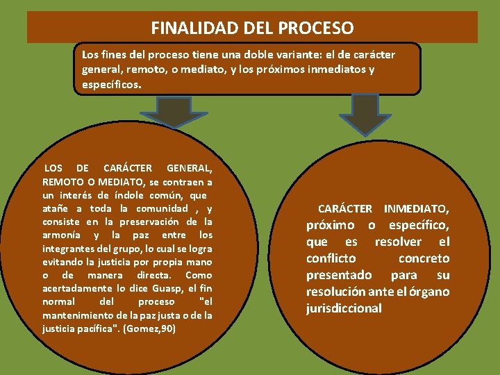 FINALIDAD DEL PROCESO Los fines del proceso tiene una doble variante: el de carácter
