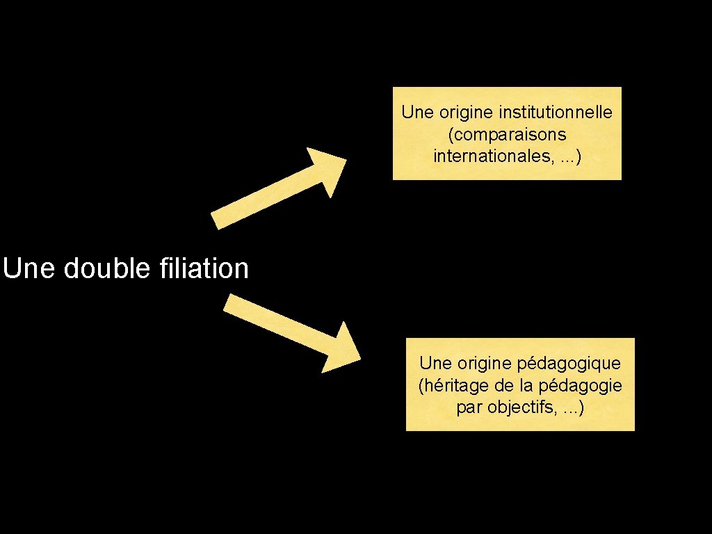 Une origine institutionnelle (comparaisons internationales, . . . ) Une double filiation Une origine