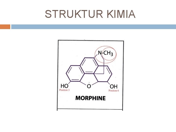 STRUKTUR KIMIA 