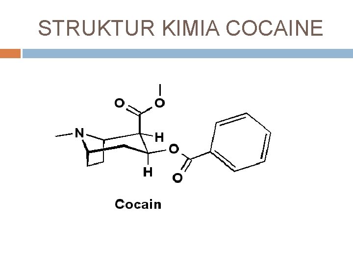 STRUKTUR KIMIA COCAINE 