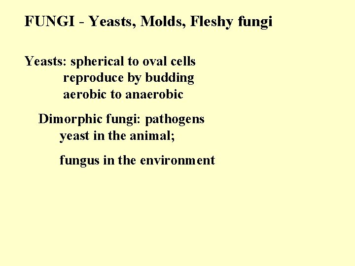 FUNGI - Yeasts, Molds, Fleshy fungi Yeasts: spherical to oval cells reproduce by budding