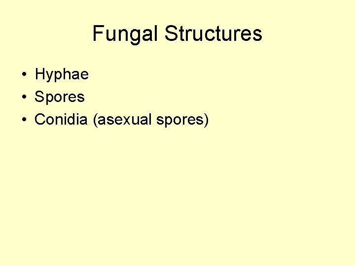 Fungal Structures • Hyphae • Spores • Conidia (asexual spores) 