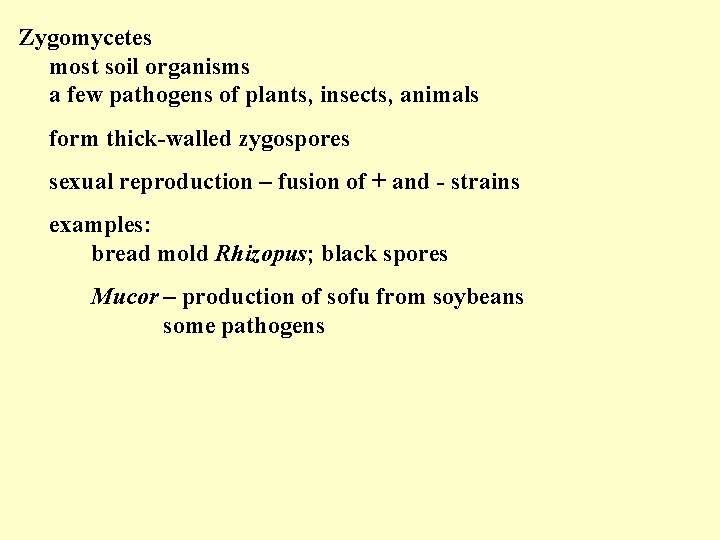 Zygomycetes most soil organisms a few pathogens of plants, insects, animals form thick-walled zygospores