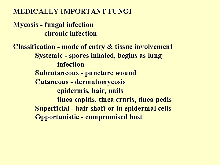 MEDICALLY IMPORTANT FUNGI Mycosis - fungal infection chronic infection Classification - mode of entry