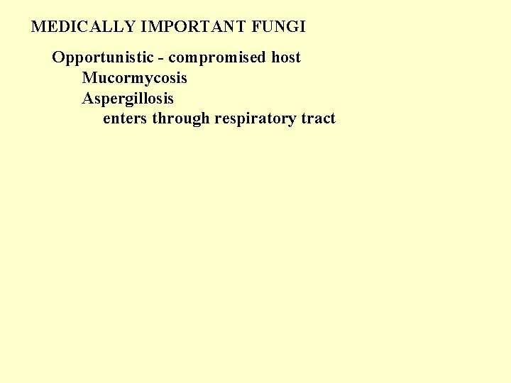 MEDICALLY IMPORTANT FUNGI Opportunistic - compromised host Mucormycosis Aspergillosis enters through respiratory tract 