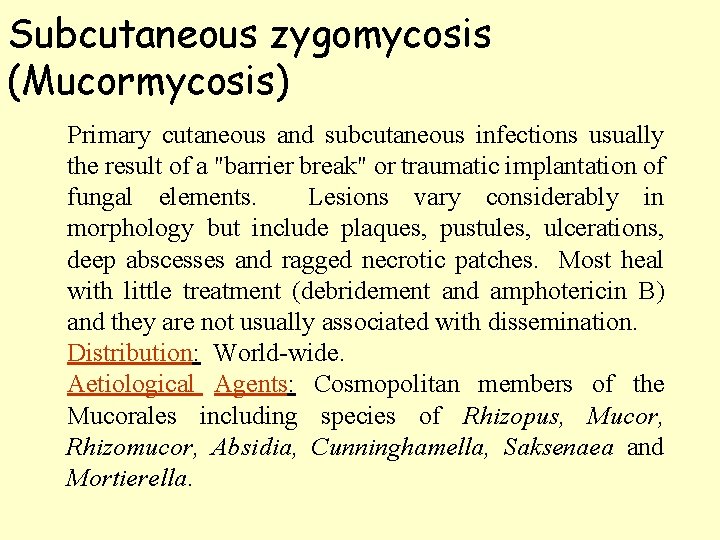 Subcutaneous zygomycosis (Mucormycosis) Primary cutaneous and subcutaneous infections usually the result of a "barrier