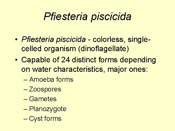 Pfiesteria piscicida • Pfiesteria piscicida - colorless, singlecelled organism (dinoflagellate) • Capable of 24