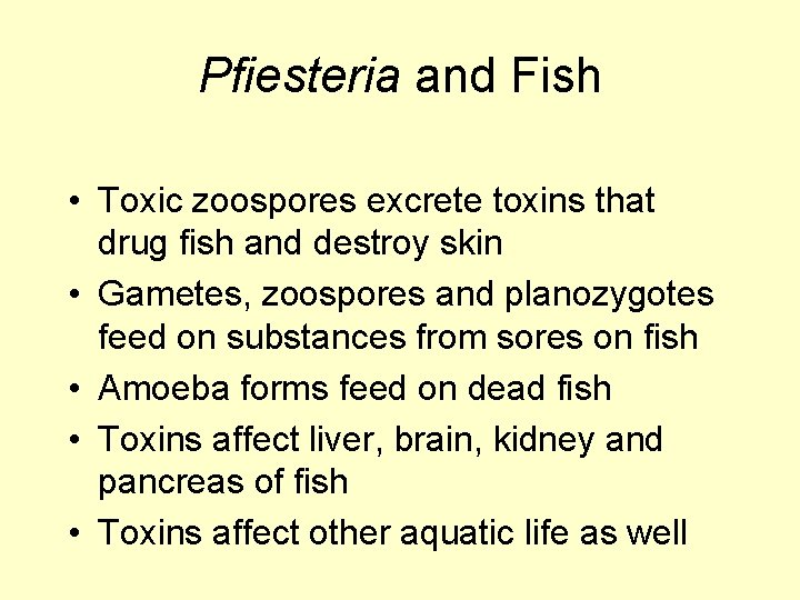 Pfiesteria and Fish • Toxic zoospores excrete toxins that drug fish and destroy skin