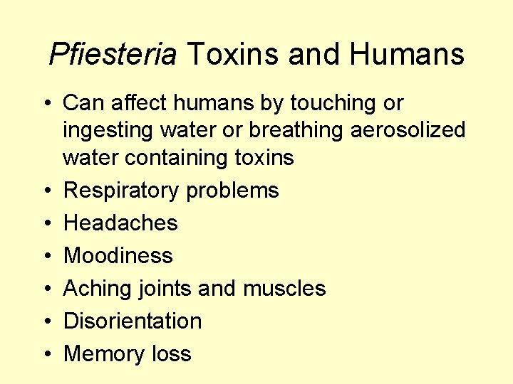 Pfiesteria Toxins and Humans • Can affect humans by touching or ingesting water or