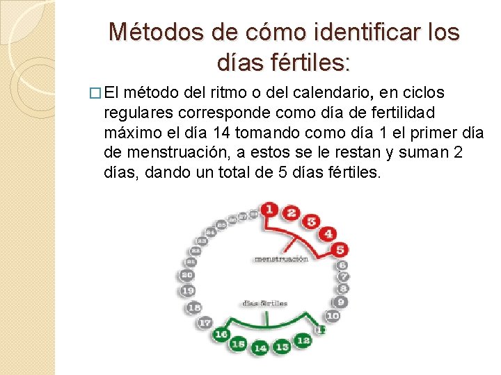 Métodos de cómo identificar los días fértiles: � El método del ritmo o del