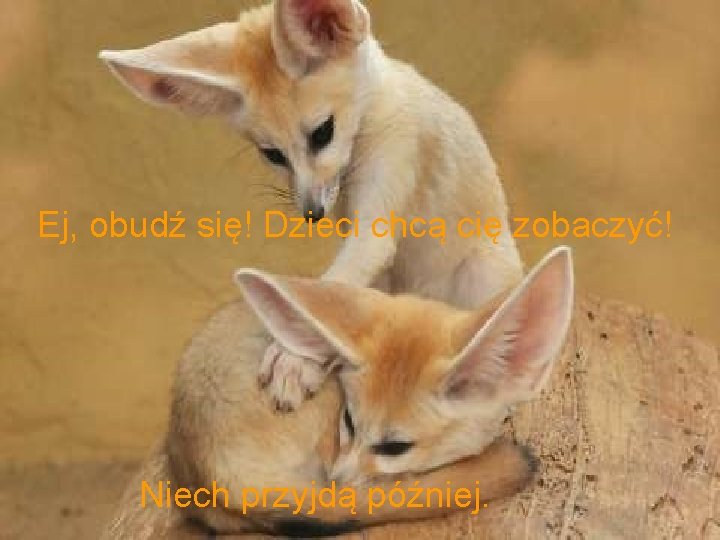 Ej, obudź się! Dzieci chcą cię zobaczyć! Niech przyjdą później. 