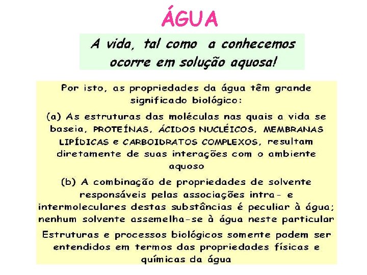 ÁGUA 