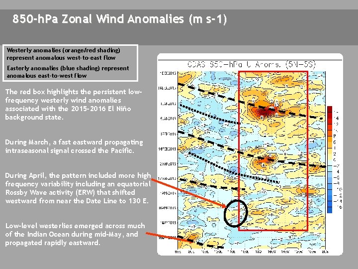 850 -h. Pa Zonal Wind Anomalies (m s-1) Westerly anomalies (orange/red shading) represent anomalous