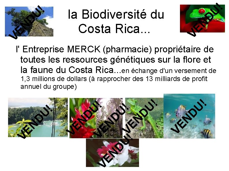 D U ! N VE U ! D N VE la Biodiversité du Costa