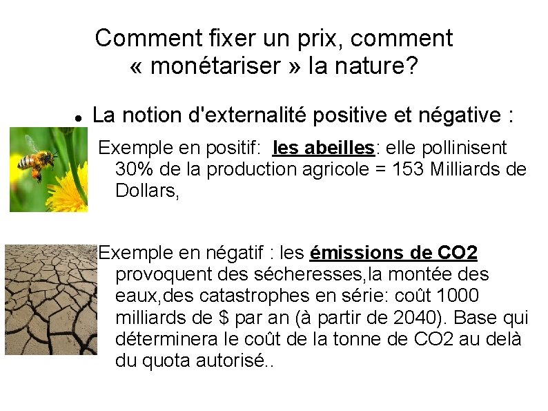 Comment fixer un prix, comment « monétariser » la nature? La notion d'externalité positive