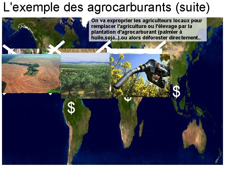 L'exemple des agrocarburants (suite) On va exproprier les agriculteurs locaux pour remplacer l'agriculture ou